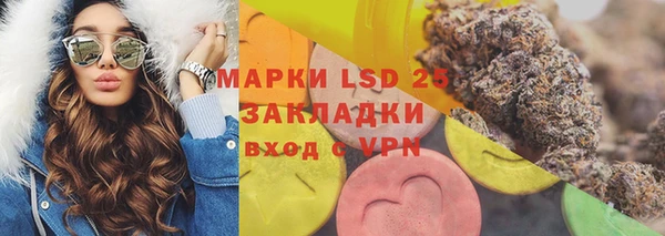 ешки Богданович