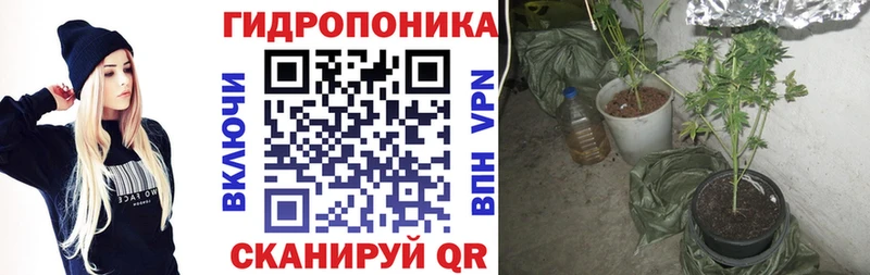 Шишки марихуана VHQ Цивильск